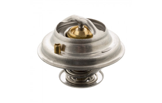 Thermostat d'eau 14771 FEBI