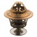 Thermostat d'eau 15804 FEBI