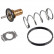 Thermostat d'eau 172432 FEBI