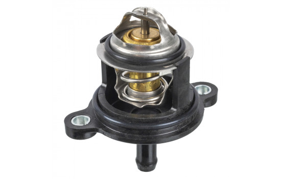 Thermostat d'eau 173939 FEBI