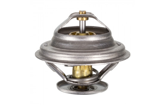 Thermostat d'eau 17896 FEBI