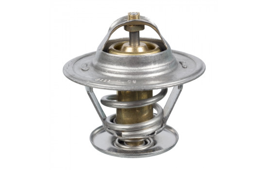 Thermostat d'eau 17904 FEBI