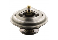 Thermostat d'eau 17920 FEBI