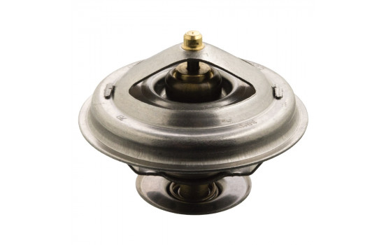 Thermostat d'eau 17920 FEBI