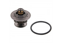 Thermostat d'eau 17978 FEBI