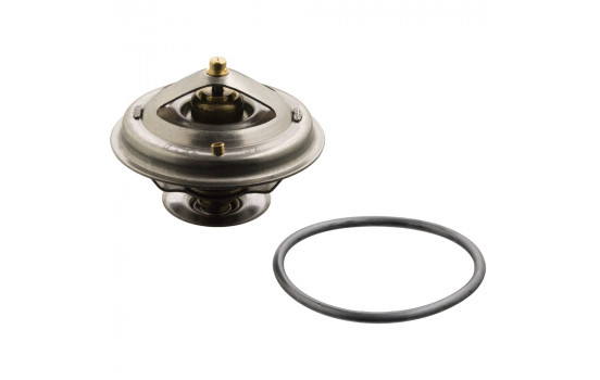 Thermostat d'eau 18294 FEBI