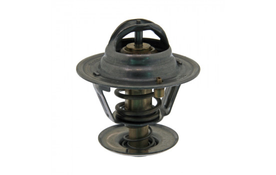 Thermostat d'eau 18981 FEBI