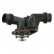 Thermostat d'eau 23529 FEBI