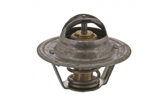 Thermostat d'eau 30694 FEBI