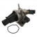 Thermostat d'eau 32646 FEBI