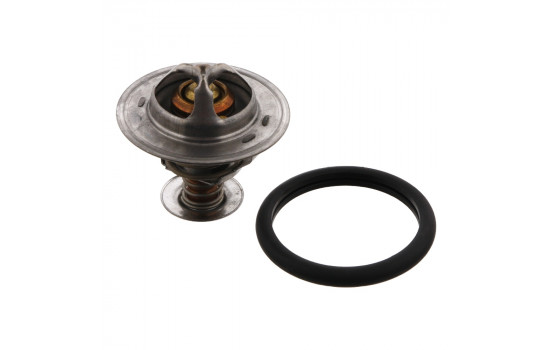 Thermostat d'eau 33493 FEBI