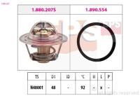 Thermostat d'eau Made in Italy - OE Equivalent
