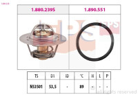 Thermostat d'eau Made in Italy - OE Equivalent