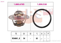 Thermostat d'eau Made in Italy - OE Equivalent