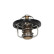 Thermostat d'eau TH-1001 Kavo parts, Vignette 5