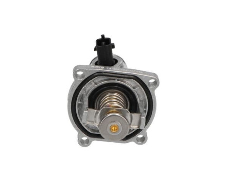 Thermostat d'eau TH-1009 Kavo parts