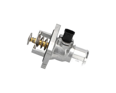 Thermostat d'eau TH-1009 Kavo parts, Image 2