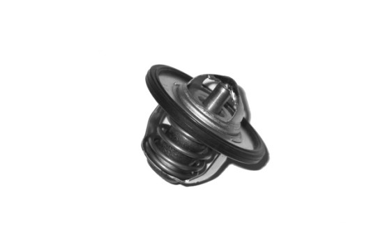 Thermostat d'eau TH-1503 Kavo parts, Image 2