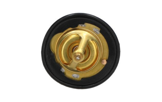Thermostat d'eau TH-2004 Kavo parts, Image 3