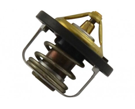 Thermostat d'eau TH-2006 Kavo parts