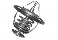 Thermostat d'eau TH-3002 Kavo parts