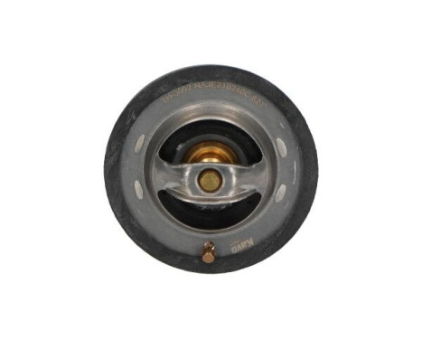 Thermostat d'eau TH-3002 Kavo parts, Image 3