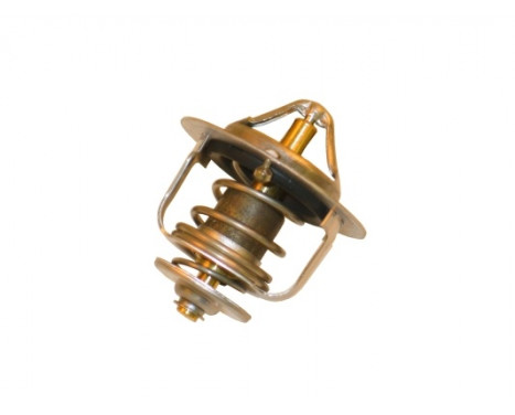 Thermostat d'eau TH-3007 Kavo parts, Image 2