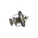 Thermostat d'eau TH-4001 Kavo parts, Vignette 6