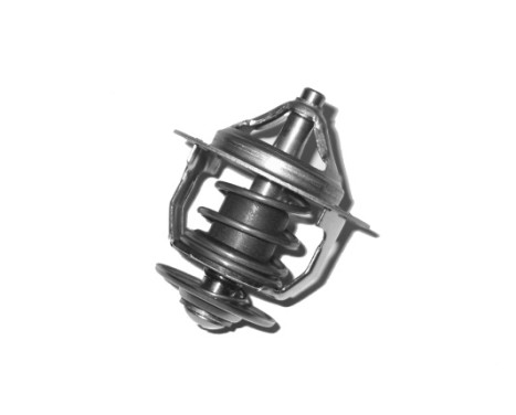 Thermostat d'eau TH-4507 Kavo parts, Image 2