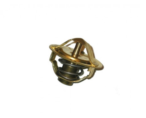 Thermostat d'eau TH-5001 Kavo parts, Image 2