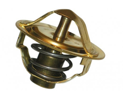 Thermostat d'eau TH-5001 Kavo parts