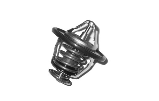 Thermostat d'eau TH-5502 Kavo parts, Image 2