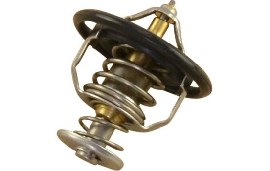 Thermostat d'eau TH-5503 Kavo parts