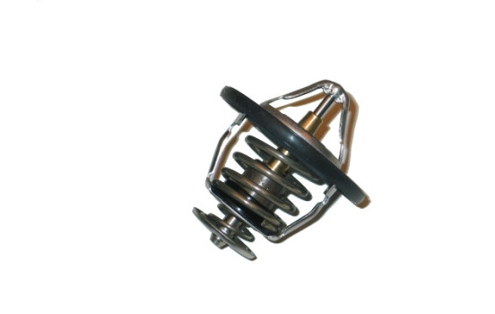 Thermostat d'eau TH-5509 Kavo parts, Image 2