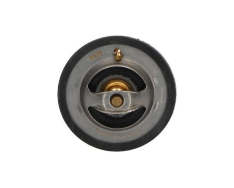 Thermostat d'eau TH-5509 Kavo parts, Image 3