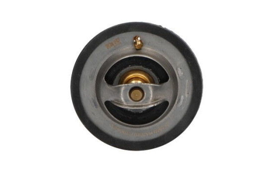 Thermostat d'eau TH-5509 Kavo parts, Image 3