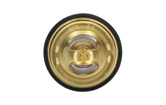 Thermostat d'eau TH-9008 Kavo parts, Image 3
