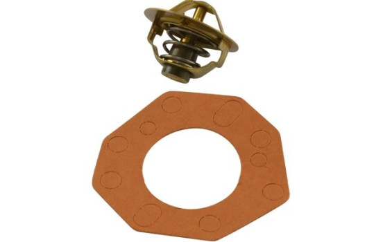 Thermostat d'eau TH-9011 Kavo parts