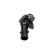 Thermostat d'eau TH-9023 Kavo parts, Vignette 5