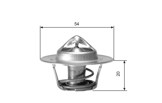Thermostat d'eau TH00171G1 Gates, Image 2