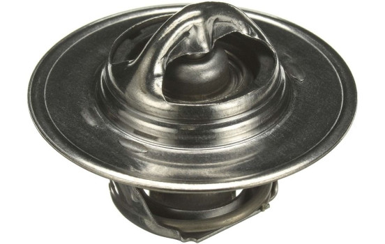 Thermostat d'eau TH00191G1 Gates, Image 2