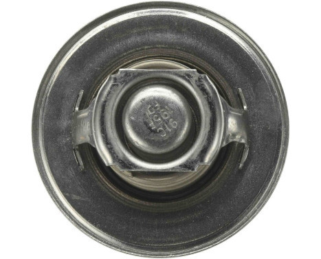 Thermostat d'eau TH00191G1 Gates, Image 4