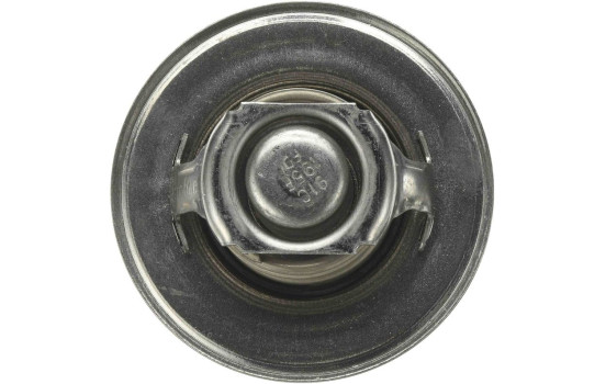 Thermostat d'eau TH00191G1 Gates, Image 4