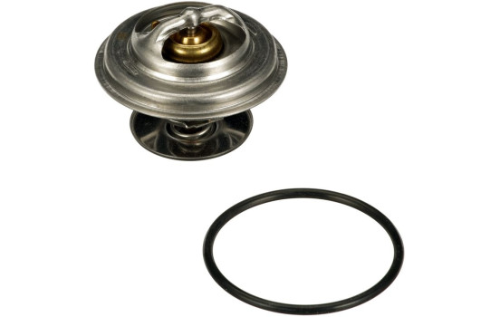 Thermostat d'eau TH01982G1 Gates, Image 2