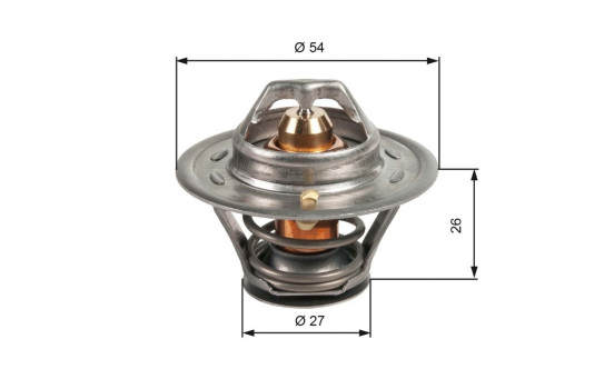 Thermostat d'eau TH09474G1 Gates, Image 2
