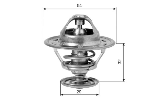 Thermostat d'eau TH10981G1 Gates, Image 2