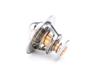 Thermostat d'eau TH12988G1 Gates