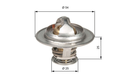Thermostat d'eau TH13076G1 Gates, Image 2