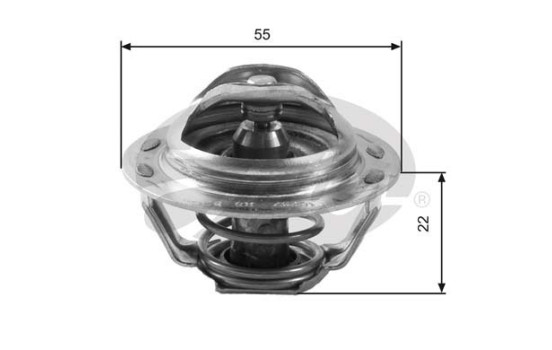 Thermostat d'eau TH13783G1 Gates