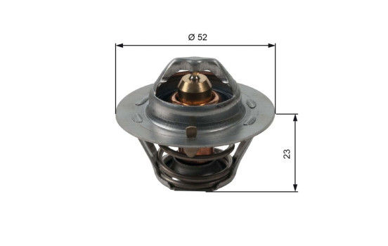 Thermostat d'eau TH14088G1 Gates, Image 2